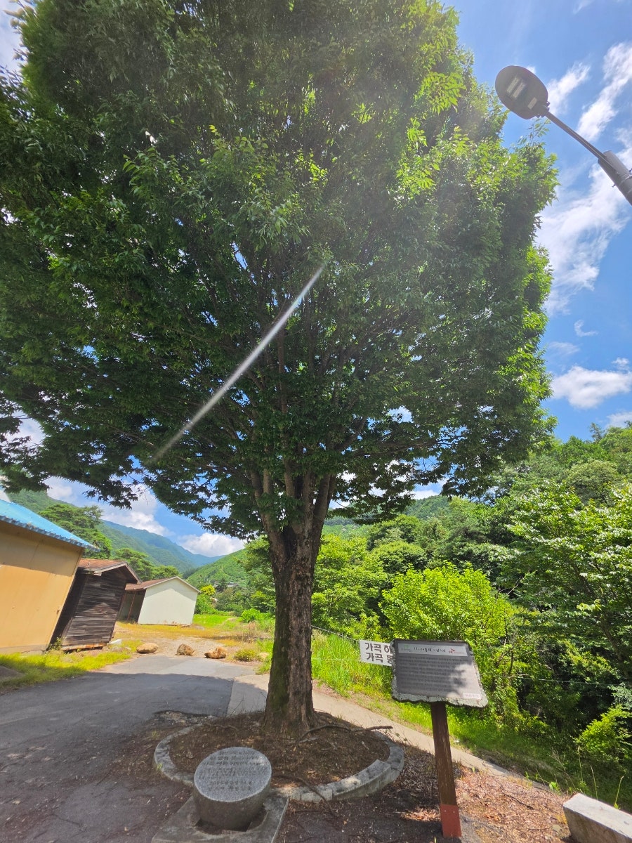 소백산 사진 2