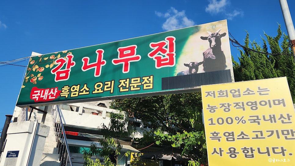 감나무식당 사진 1