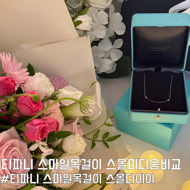 티파니앤코 스마일목걸이 다이아몬드 스몰 미디움 비교