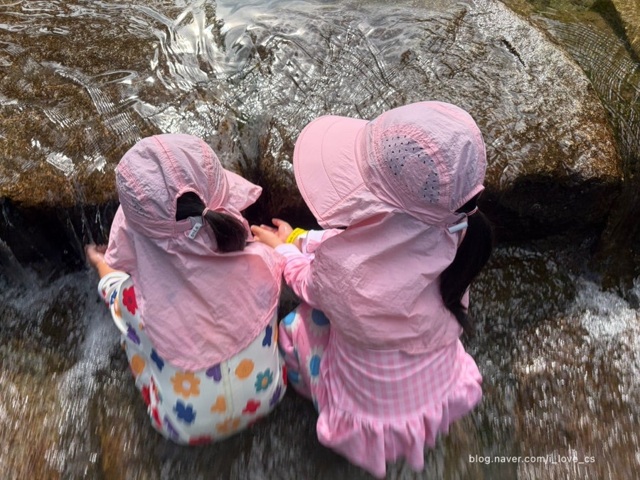 성수산왕의숲 자연휴양림 사진 4