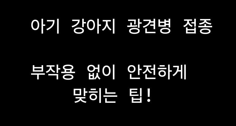 강아지 광견병 예방접종 시기와 부작용 솔직한 후기 팁