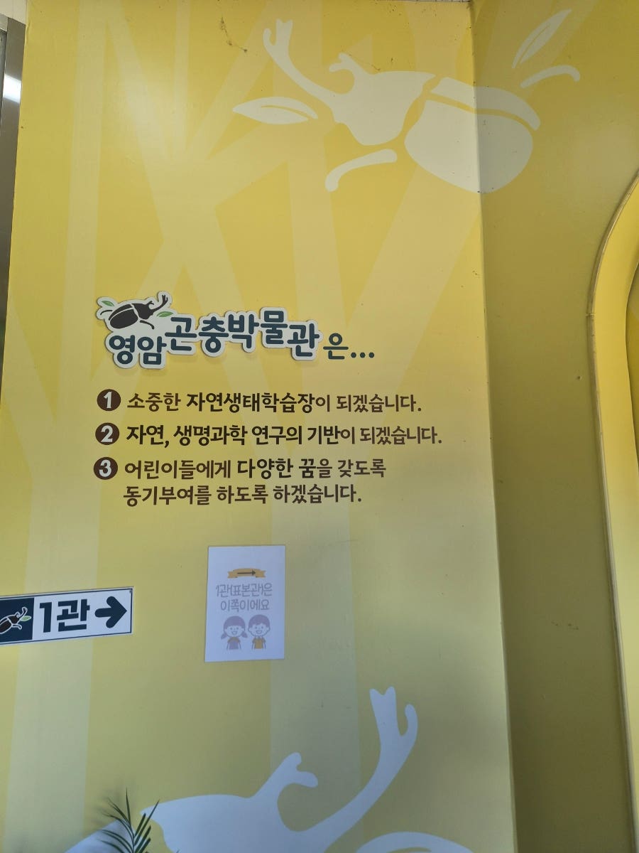 영암곤충박물관 사진 4