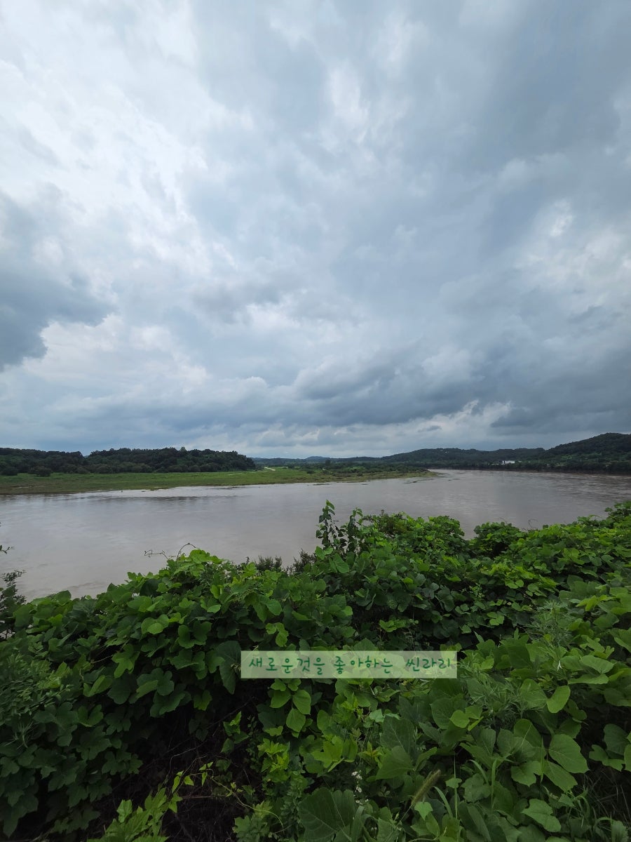 성산 사진 5
