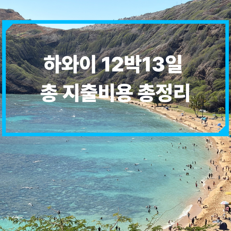 하와이 신혼여행 경비 (빅아일랜드 5박 오아후 7박 12박 13일 지출비용)