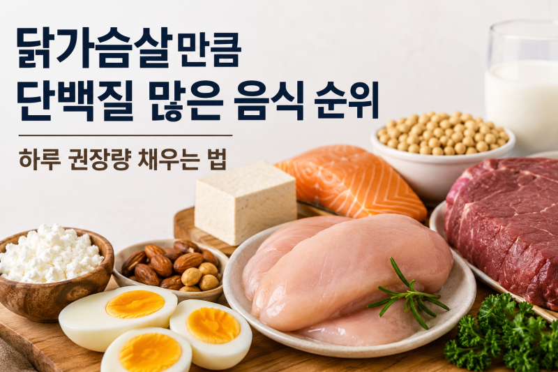 닭가슴살만큼 단백질 많은 음식 순위 — 하루 단백질 권장량 채우는 추천 식단