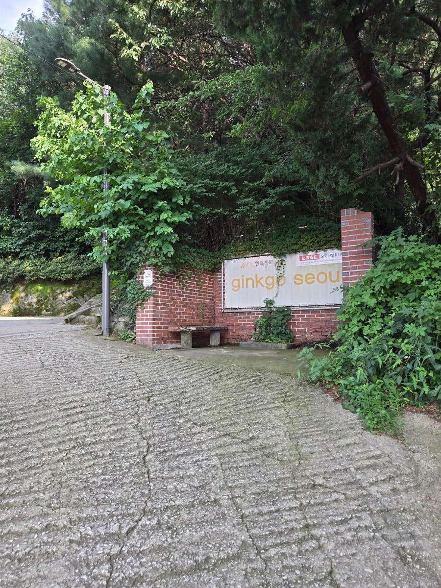 깅꼬서울 사진 2