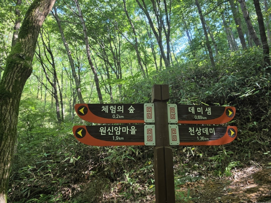 천상데미 사진 4