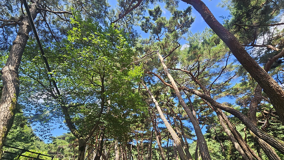 봉수산 사진 5