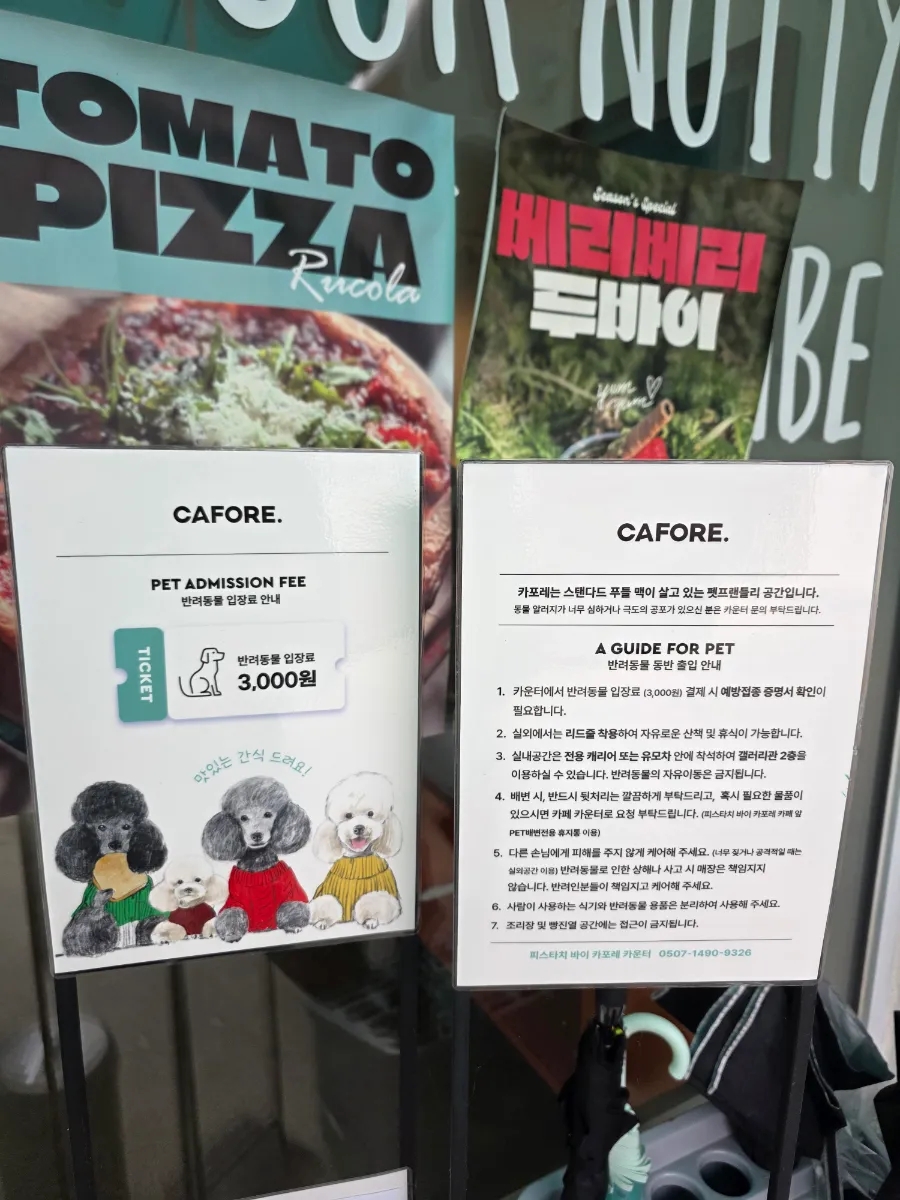 카포레 사진 5