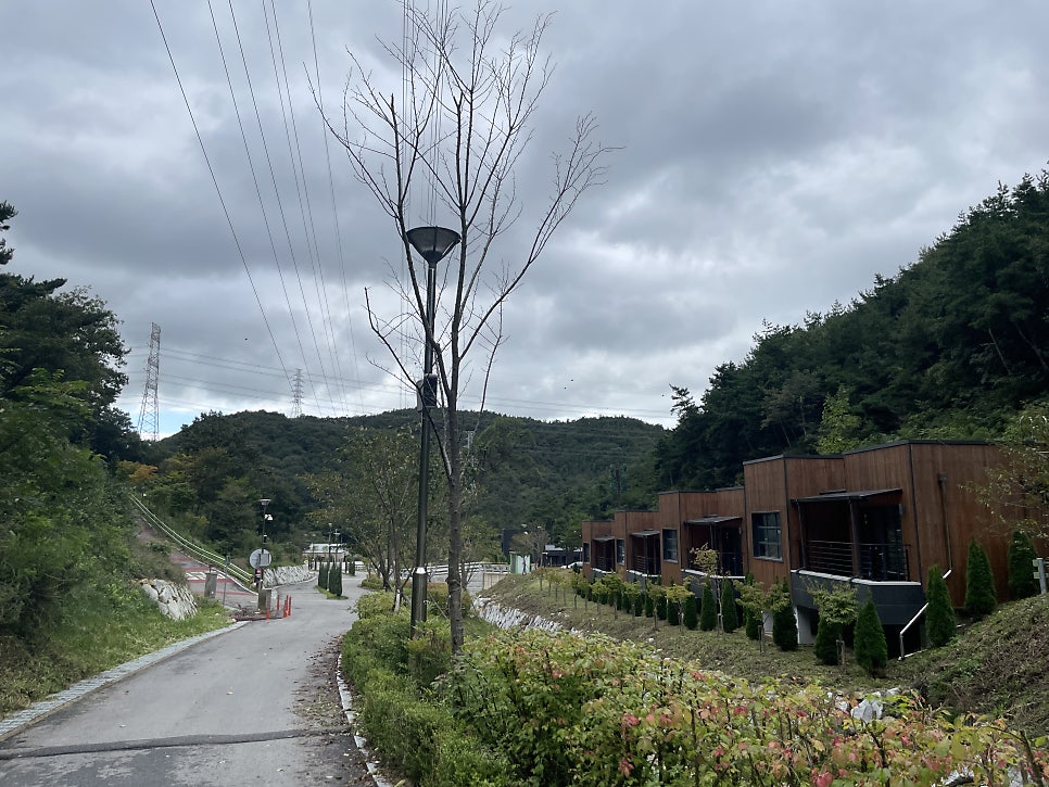 선암자연휴양림 사진 4
