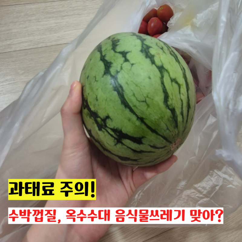 과태료 주의, 수박껍질 옥수수대 분리수거 제대로 버리는 방법, 애플수박은 음식물쓰레기일....