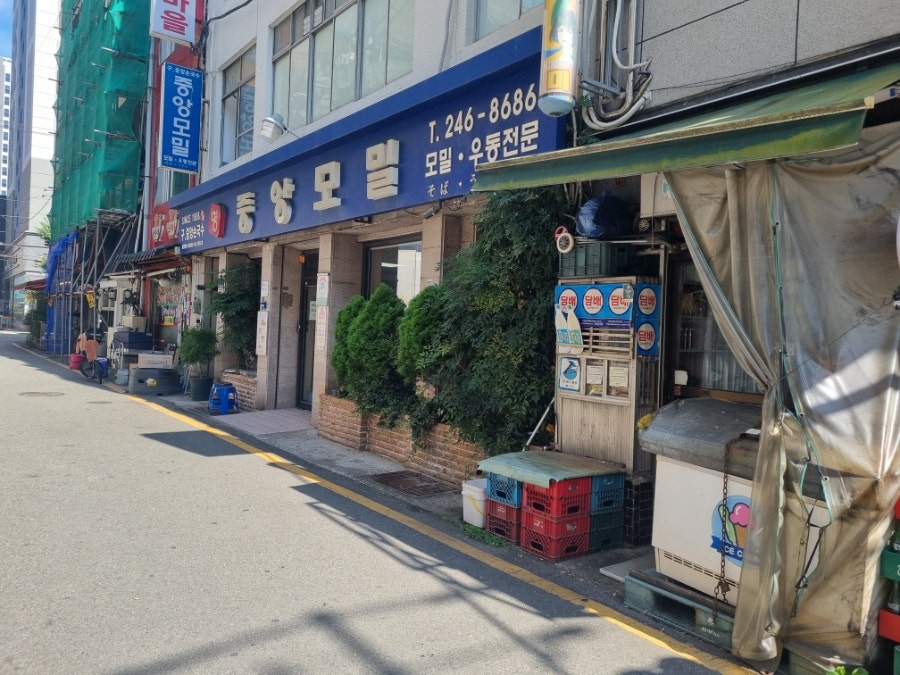 중앙모밀 사진 3