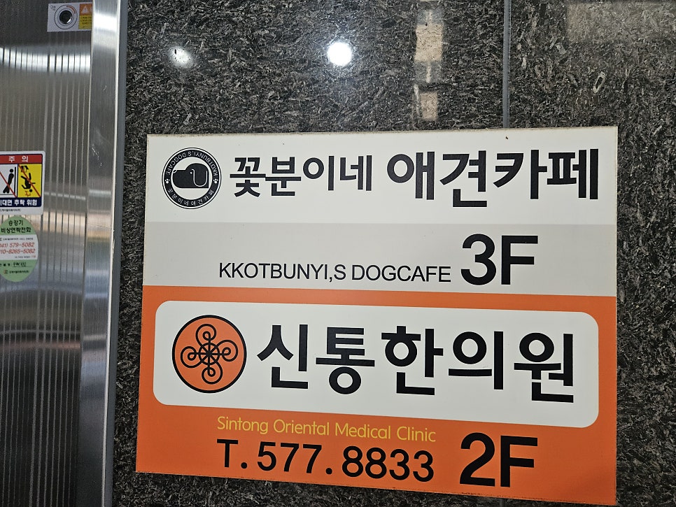 꽃분이네애견카페 사진 2