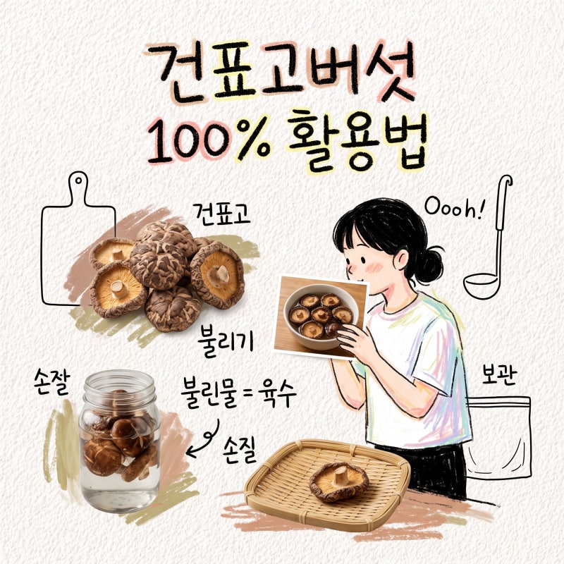 건표고 불리는법 불린물 육수 손질 생표고차이 보관 효능 칼로리