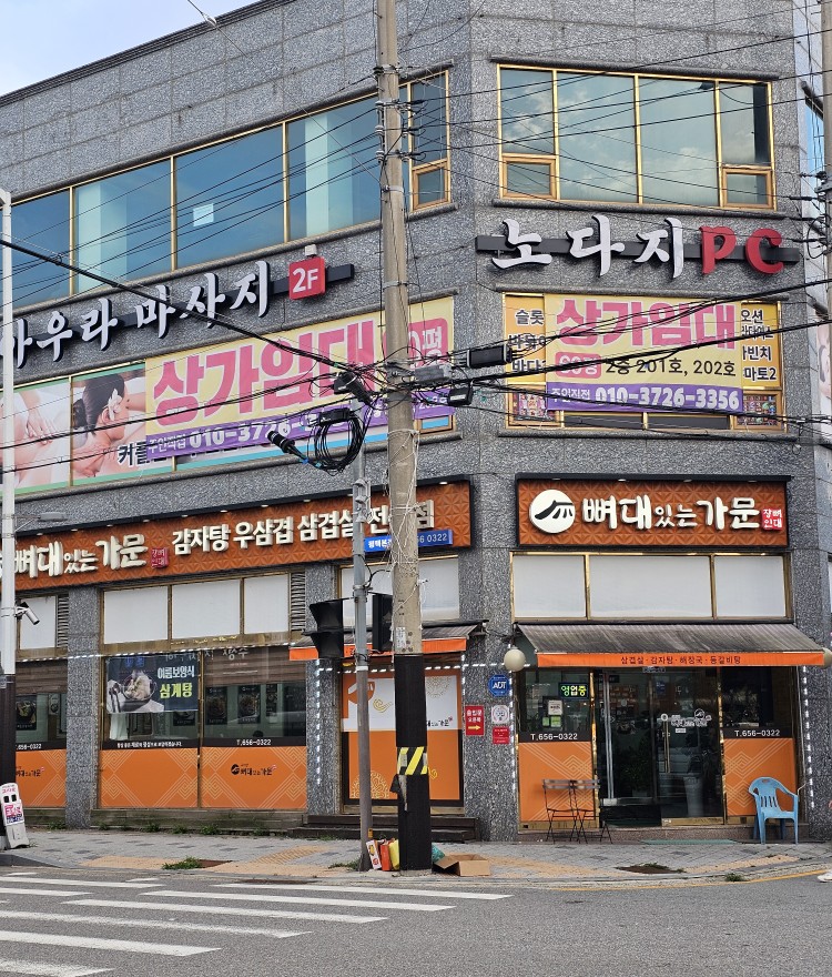 구이영 뼈대있는가문 사진 1