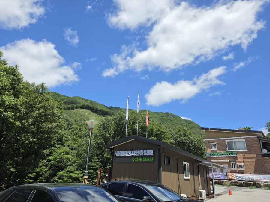 천상데미 사진 1