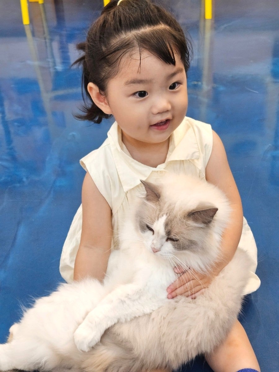 고양이카페아이캣유 사진 5