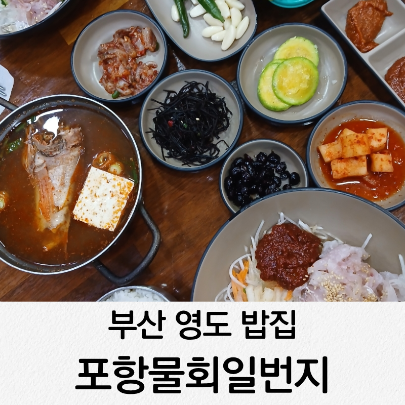 포항물회일번지 사진 1