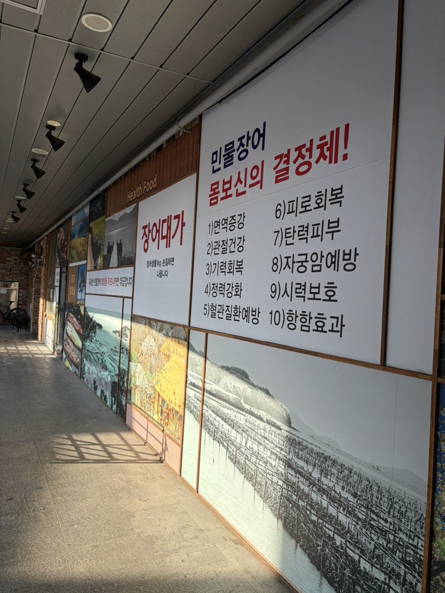 장어대가 사진 2