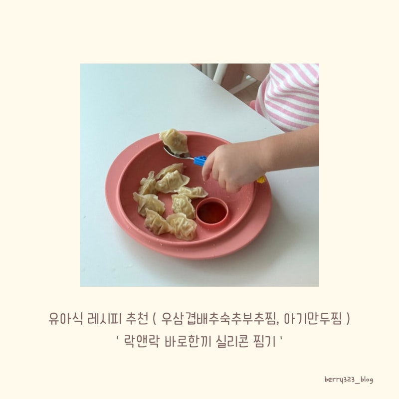 락앤락 바로한끼 실리콘 찜기로 만든 아기 유아식 (우삼겹숙주배추찜 & 아기만두)