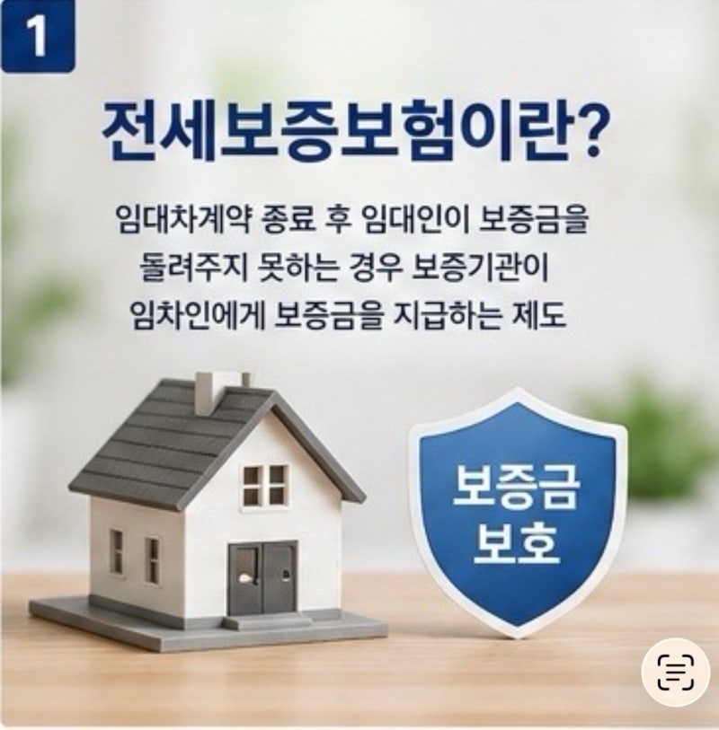 사회초년생 전세보증보험 가입 절차 총정리ㅣ 계약 전 확인부터 보증서 발급까지