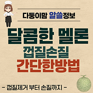 멜론 간단하게 자르는 방법, 껍질 손질부터 예쁘게 담기까지