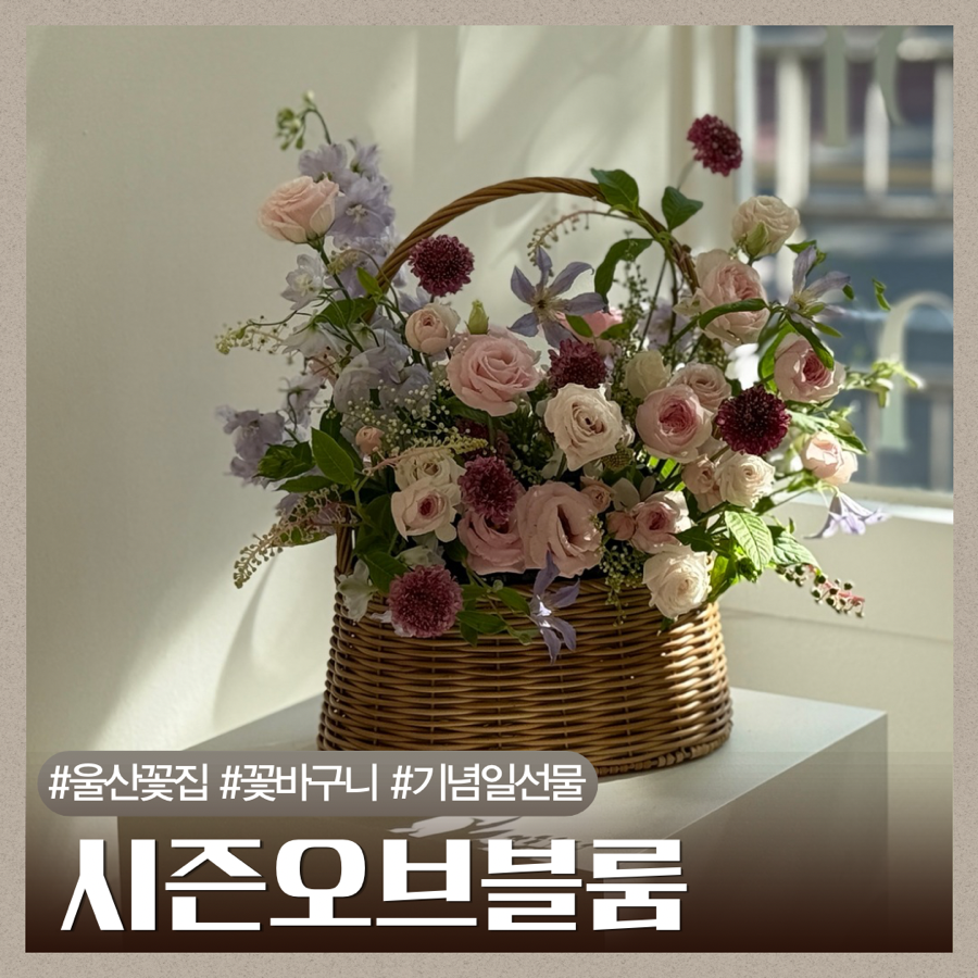 블룸 사진 1