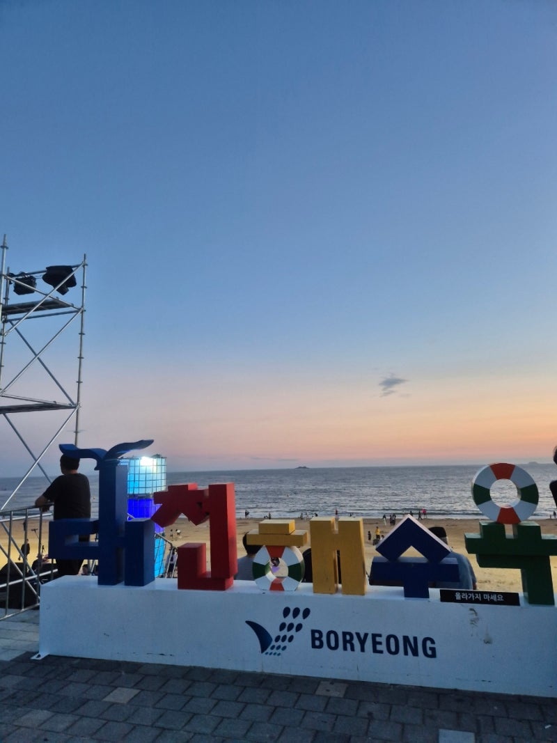 2026 보령머드축제 대천해수욕장 맛집｜30분 웨이팅도 인정! 인생 조개구이 ‘조개까는남자’....