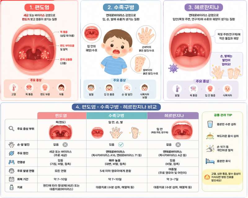 7살 남매둥이 편도염 수족구 헤르판지나 일주일 기록