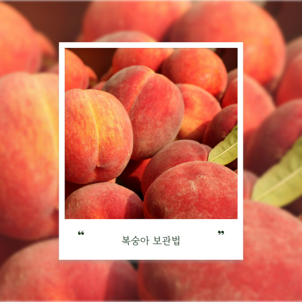 복숭아 보관법, 딱복 물복 후숙과 냉장 보관법