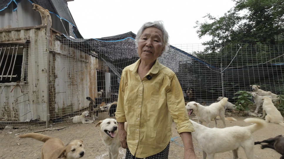 쉼터 사진 4