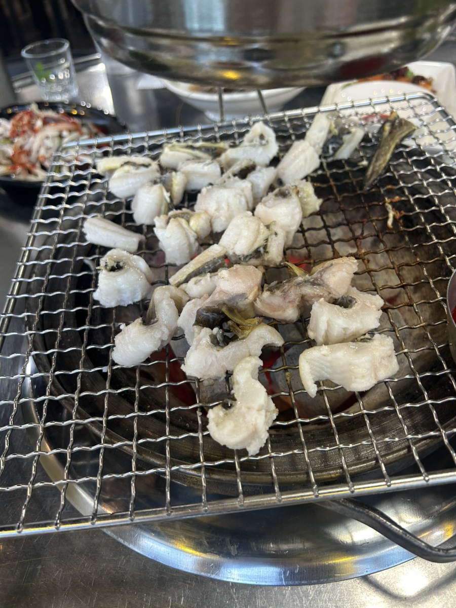 힘센장어랑꼼장어랑 사진 1