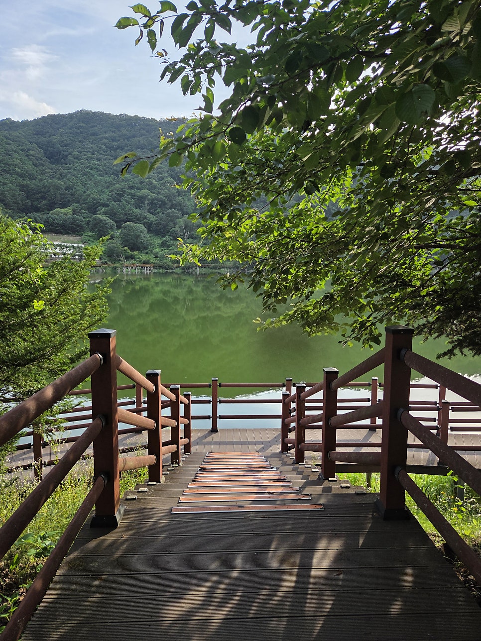 좌구산 사진 5