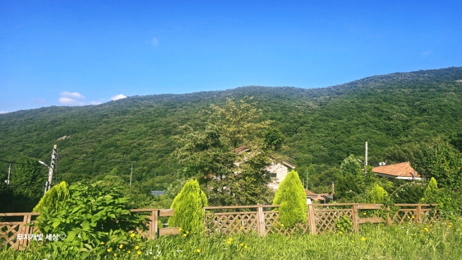 온더기와 사진 3