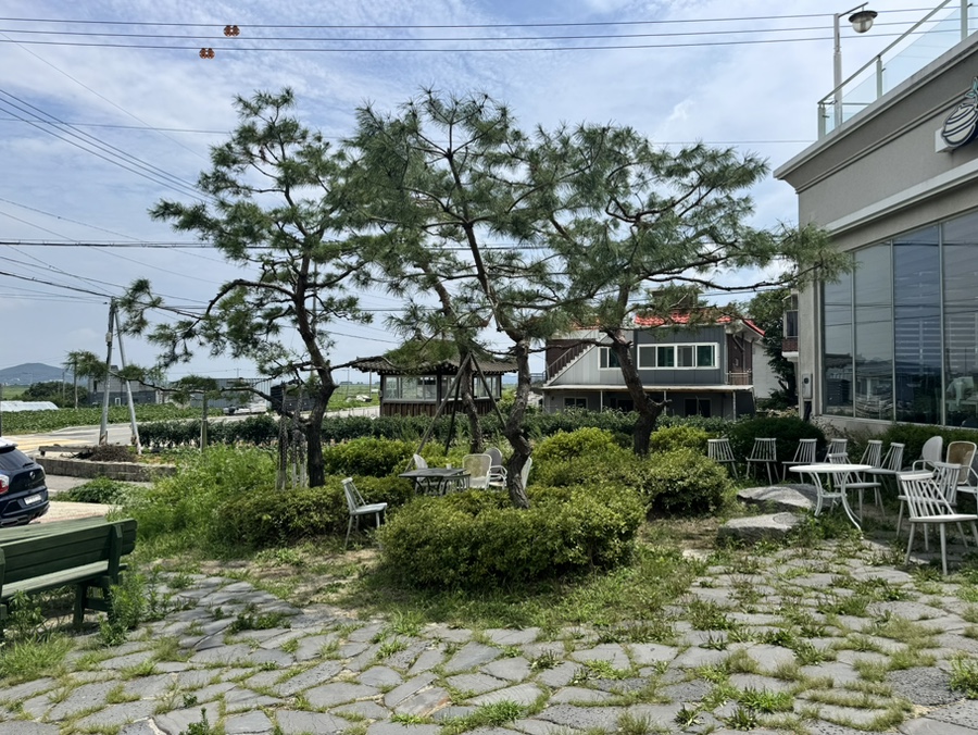 맛을담은강된장 사진 2