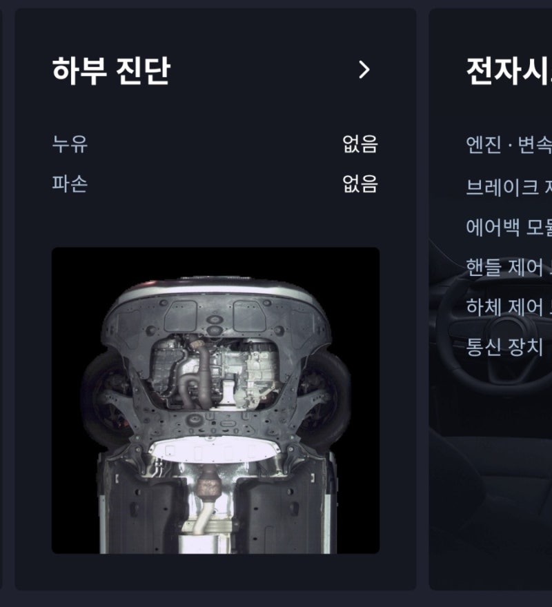 헤이딜러인증중고차 구매 후기(내돈내산) 카니발9인승