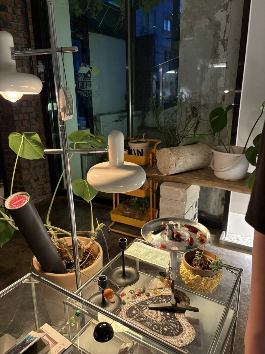 포달러 사진 3