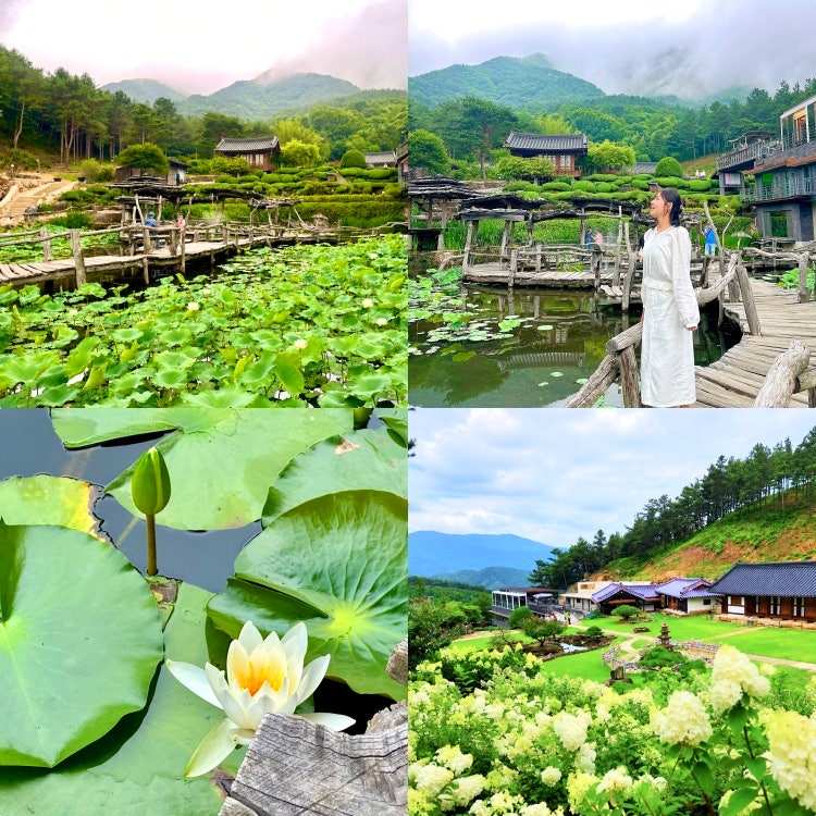 한국에서 가장 아름다운 사찰! 경남 사찰 산청 수선사