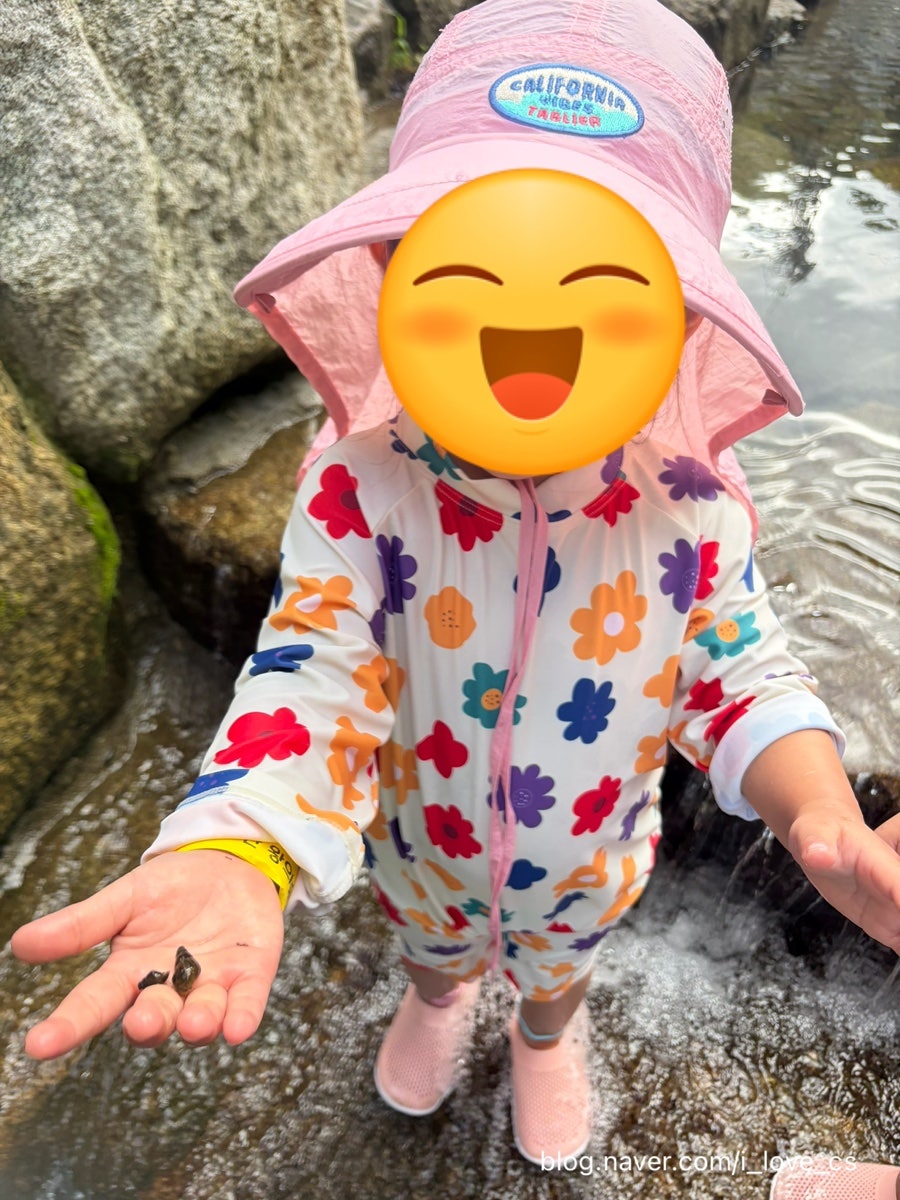 성수산왕의숲 자연휴양림 사진 5