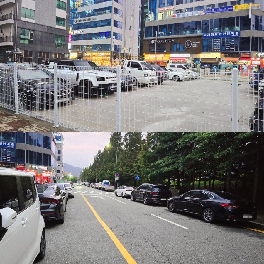 못생긴뚱돼지 사진 2
