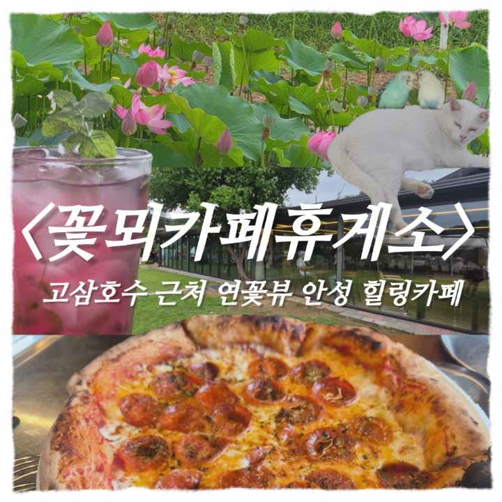꽃뫼카페휴게소 사진 1
