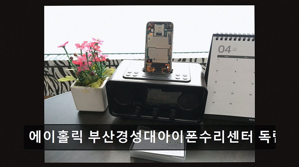 홀릭 사진 3