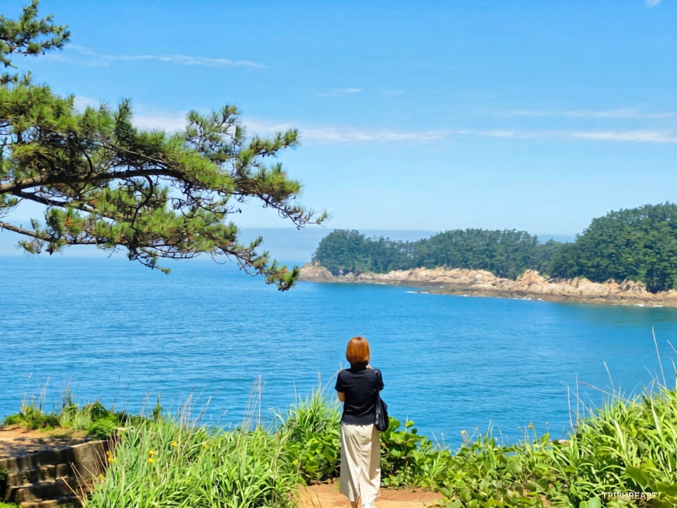 뭍닭섬 사진 1