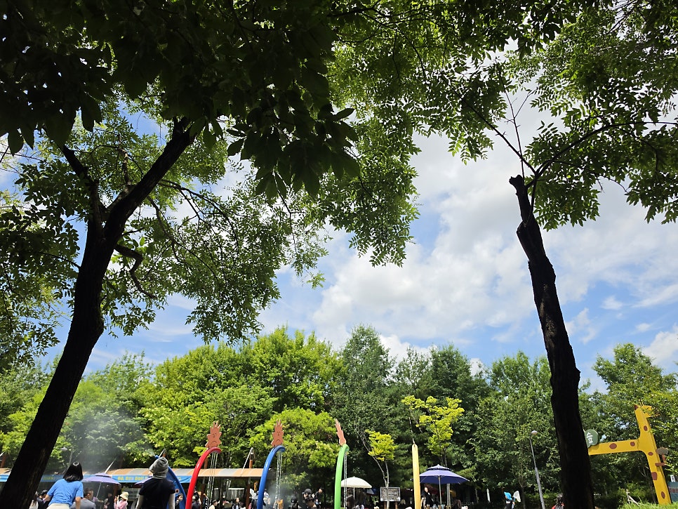 1811고기짬뽕 본점 사진 1