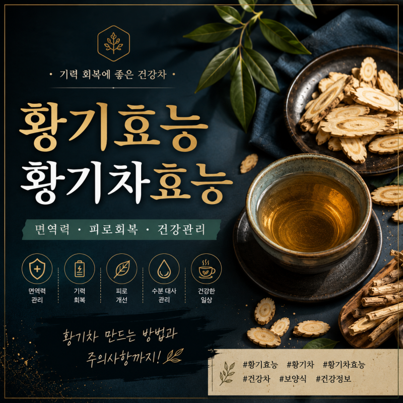 기력 회복에 좋은 황기효능, 황기차, 황기차효능 총정리