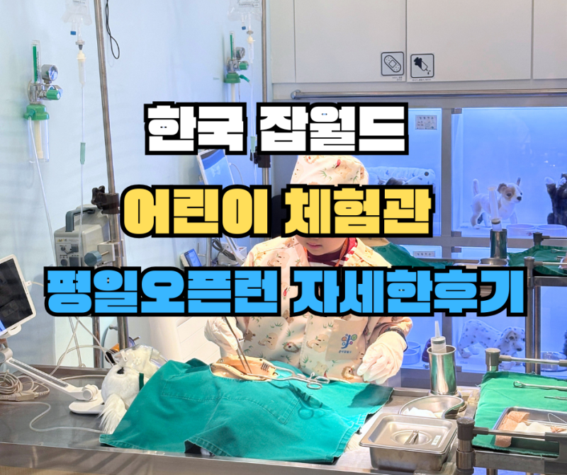 [한국 잡월드] 오픈런 후기 / 인기체험 추천 / 여름방학 아이와 가볼만한 곳