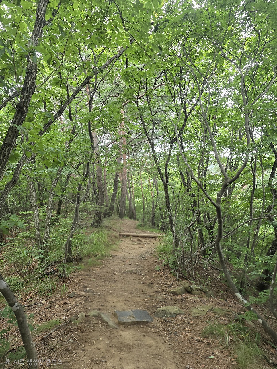 황악산 사진 5
