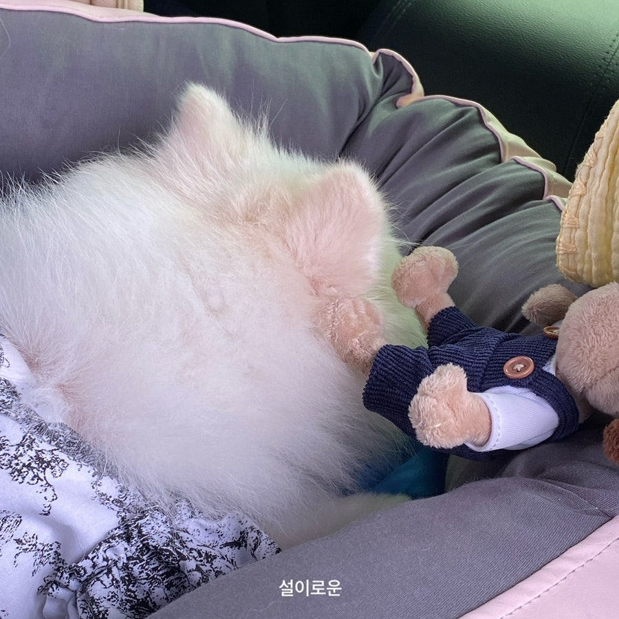 캠핑소리251 사진 5