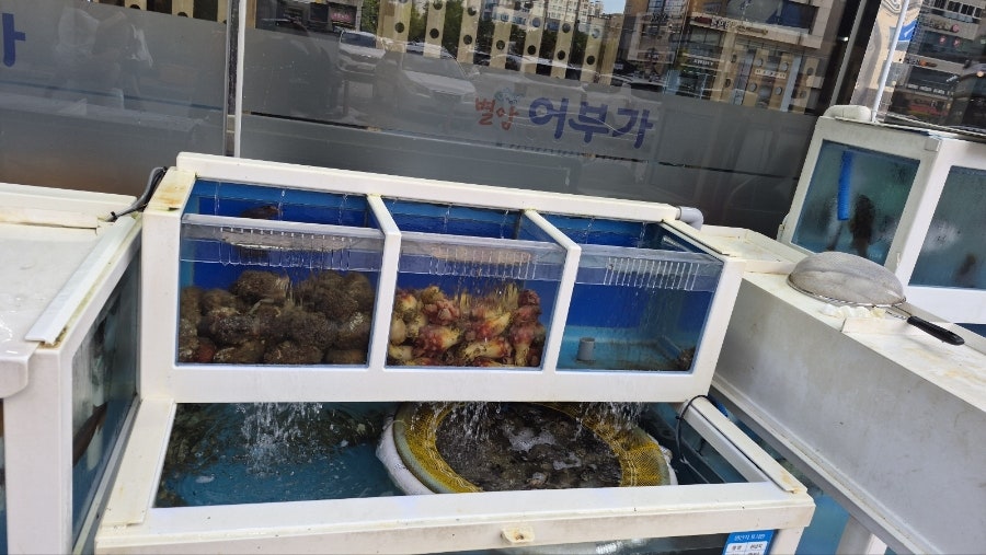 별암어부가 사진 4