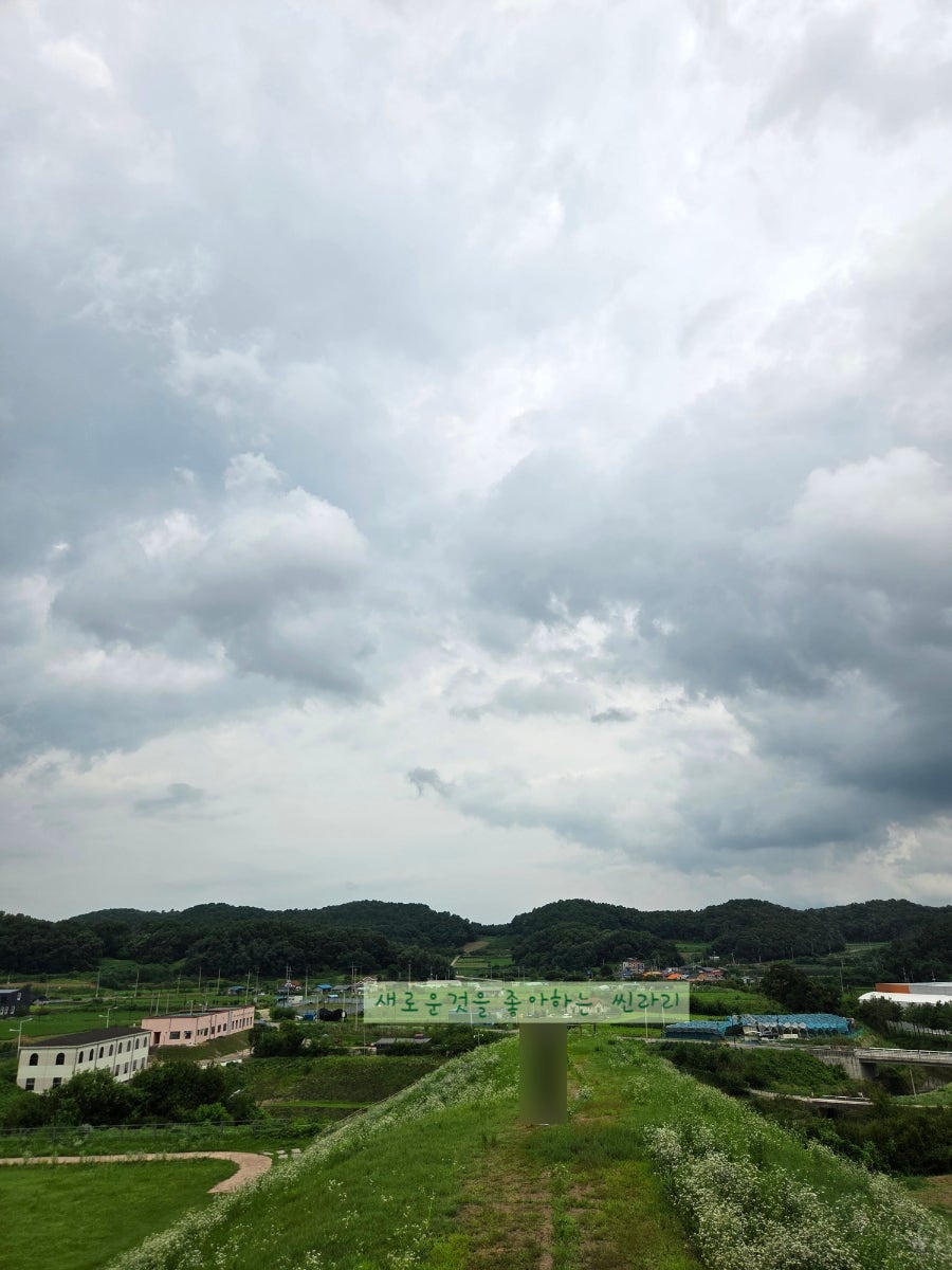 성산 사진 2
